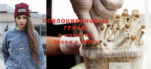 таблы Елизово